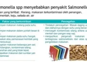 E-scooter dan Makanan Siap Saji Dalam Sorotan: Kasus Pelanggaran dan Wabah Salmonella