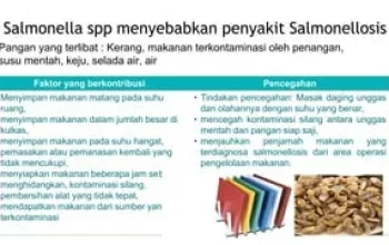 E-scooter dan Makanan Siap Saji Dalam Sorotan: Kasus Pelanggaran dan Wabah Salmonella