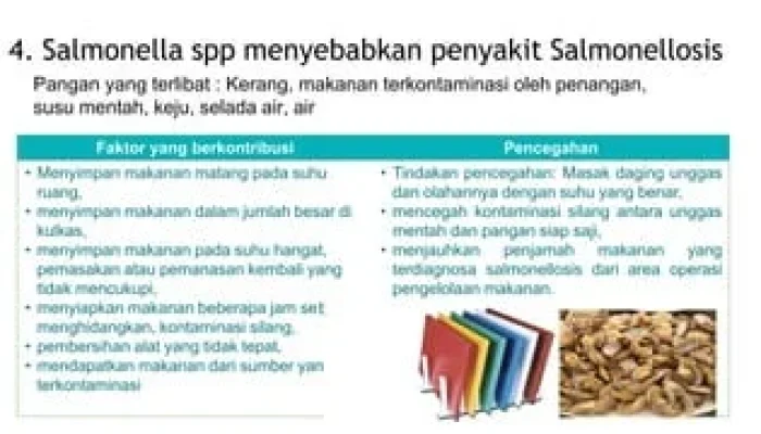 E-scooter dan Makanan Siap Saji Dalam Sorotan: Kasus Pelanggaran dan Wabah Salmonella