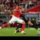 FC Barcelona Incar Vangelis Pavlidis dari Benfica sebagai Alternatif Julian Alvarez
