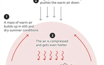 Fenomena Heat Dome: Mengenal Suhu Ekstrem yang Mengancam