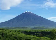 Gunung Harta Terbakar: Sopir Sigap Selamatkan 30 Penumpang di Tol Nganjuk