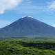 Gunung Harta Terbakar: Sopir Sigap Selamatkan 30 Penumpang di Tol Nganjuk