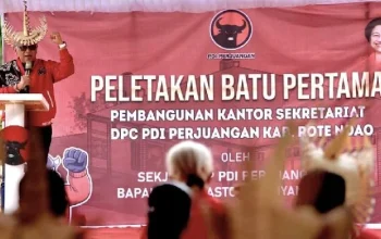 Hasto Kristiyanto Hadiri Peletakan Batu Pertama Kantor DPC PDIP Samosir, PDI Perjuangan Perkuat Konsolidasi