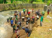 IG Nobel dan Kisah Unik di Baliknya: Dari Membersihkan Sungai hingga Menghiasi Sapi