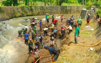IG Nobel dan Kisah Unik di Baliknya: Dari Membersihkan Sungai hingga Menghiasi Sapi