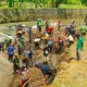 IG Nobel dan Kisah Unik di Baliknya: Dari Membersihkan Sungai hingga Menghiasi Sapi