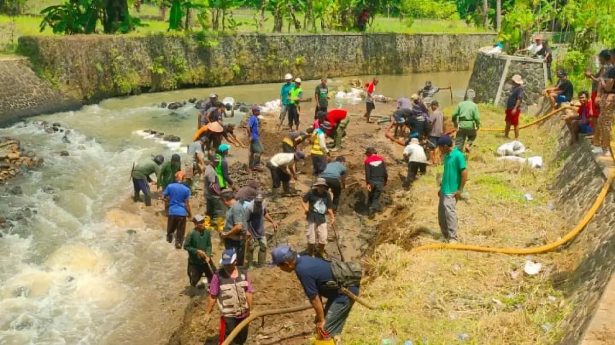 IG Nobel dan Kisah Unik di Baliknya: Dari Membersihkan Sungai hingga Menghiasi Sapi