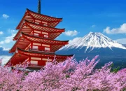 Jepang: Dari Politik Hingga Wisata, Eksplorasi Menarik di Negeri Sakura