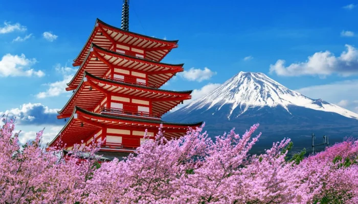 Jepang: Dari Politik Hingga Wisata, Eksplorasi Menarik di Negeri Sakura