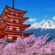 Jepang: Dari Politik Hingga Wisata, Eksplorasi Menarik di Negeri Sakura
