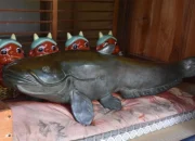 Jepang Terbuka: Dari Ubi Brulee hingga Mitos Namazu, Lele Raksasa Penyebab Gempa