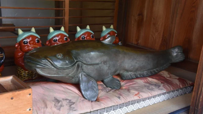 Jepang Terbuka: Dari Ubi Brulee hingga Mitos Namazu, Lele Raksasa Penyebab Gempa