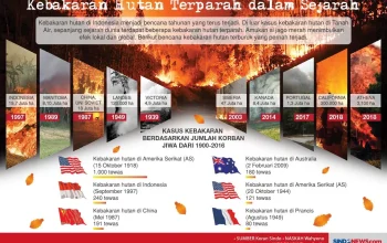 Kabar Terbaru dari Berbagai Penjuru Dunia: Dari Gladiators hingga Kebakaran Hutan