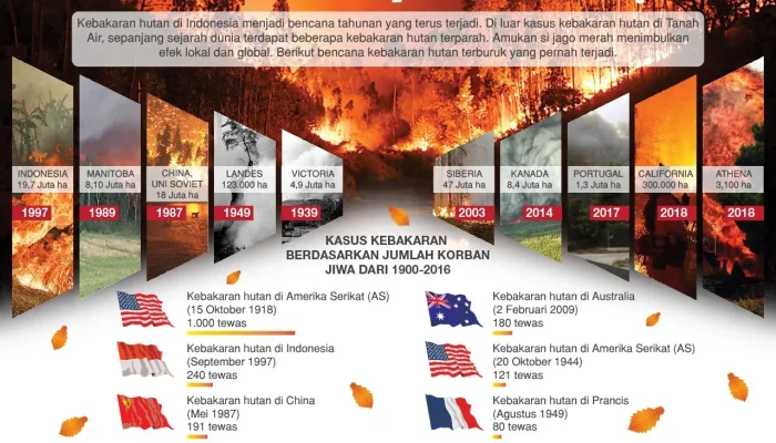 Kabar Terbaru dari Berbagai Penjuru Dunia: Dari Gladiators hingga Kebakaran Hutan