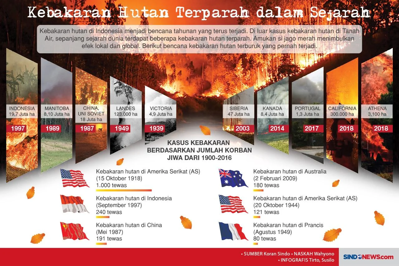 Kabar Terbaru dari Berbagai Penjuru Dunia: Dari Gladiators hingga Kebakaran Hutan