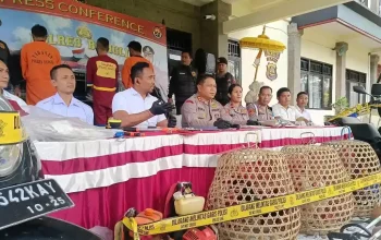 Kasus Maling Ayam di Bali: Kementerian HAM Turun Langsung ke Lapangan, Mengutuk Tindakan Main Hakim Sendiri