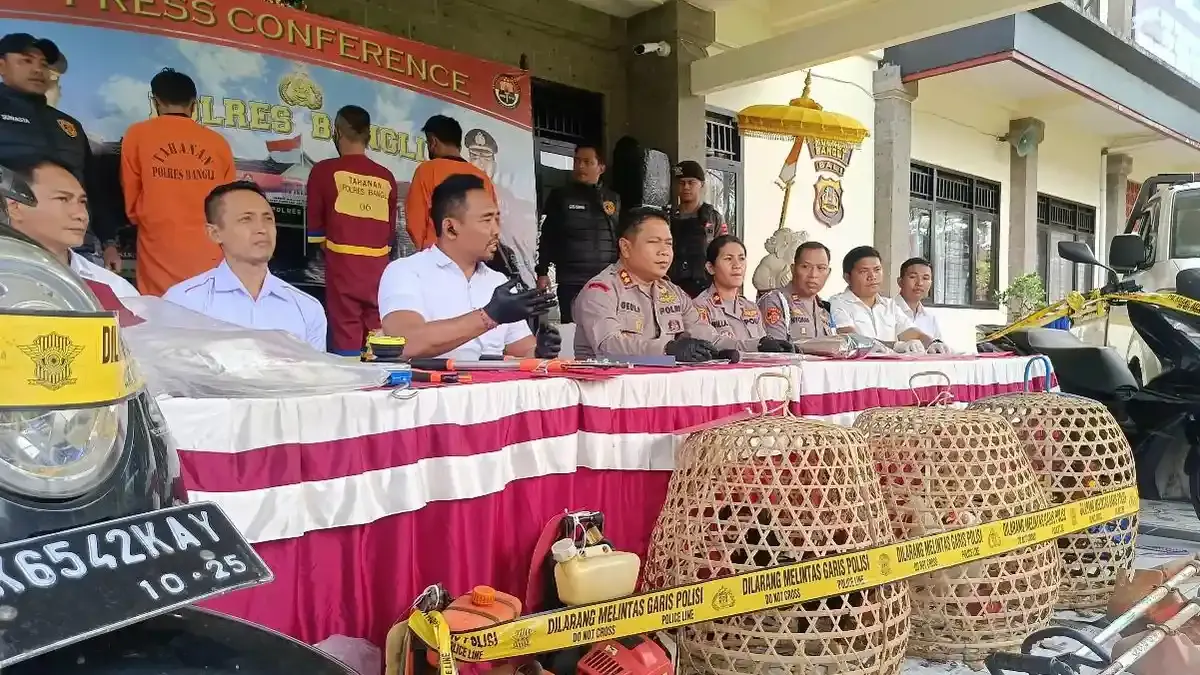 Kasus Maling Ayam di Bali: Kementerian HAM Turun Langsung ke Lapangan, Mengutuk Tindakan Main Hakim Sendiri