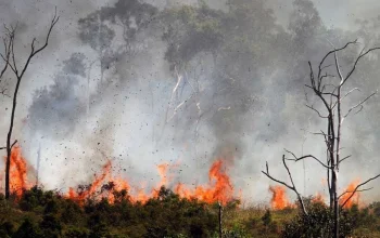 Kebakaran Besar di Indonesia: Dari El Nino hingga Kebakaran Hutan
