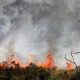 Kebakaran Besar di Indonesia: Dari El Nino hingga Kebakaran Hutan
