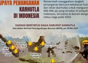 Kebakaran Hutan di Indonesia: Pemerintah Perkuat Upaya Pemadaman