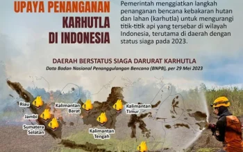 Kebakaran Hutan di Indonesia: Pemerintah Perkuat Upaya Pemadaman