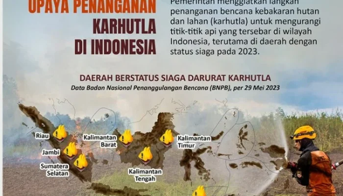 Kebakaran Hutan di Indonesia: Pemerintah Perkuat Upaya Pemadaman