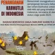 Kebakaran Hutan di Indonesia: Pemerintah Perkuat Upaya Pemadaman