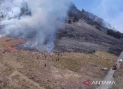 Kebakaran Hutan Gunung Bromo Meluas, Kawasan Wisata Ditutup Total