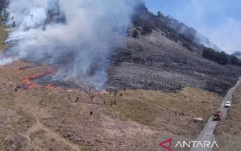 Kebakaran Hutan Gunung Bromo Meluas, Kawasan Wisata Ditutup Total