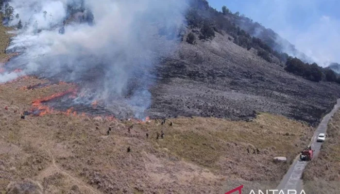 Kebakaran Hutan Gunung Bromo Meluas, Kawasan Wisata Ditutup Total