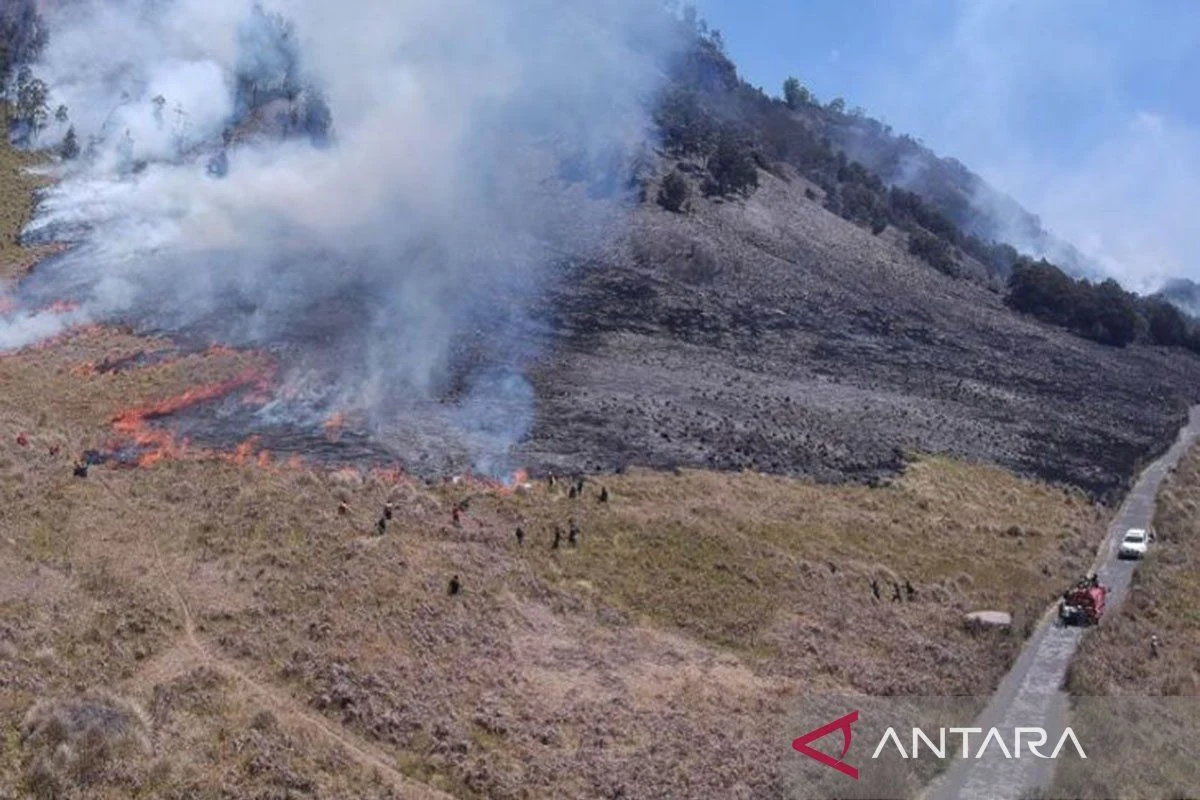 Kebakaran Hutan Gunung Bromo Meluas, Kawasan Wisata Ditutup Total