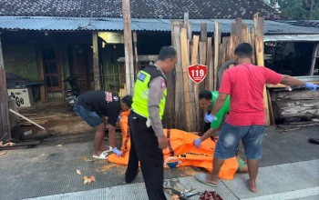 Kecelakaan Lalu Lintas di Berbagai Daerah, Korban Meninggal dan Luka-Luka
