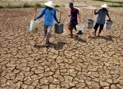 Kekeringan Melanda Indonesia: Upaya Mitigasi dan Dampaknya terhadap Masyarakat