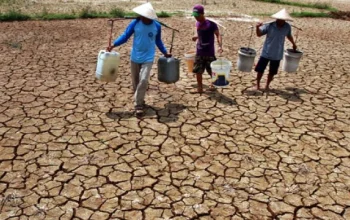 Kekeringan Melanda Indonesia: Upaya Mitigasi dan Dampaknya terhadap Masyarakat