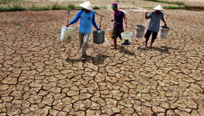 Kekeringan Melanda Indonesia: Upaya Mitigasi dan Dampaknya terhadap Masyarakat