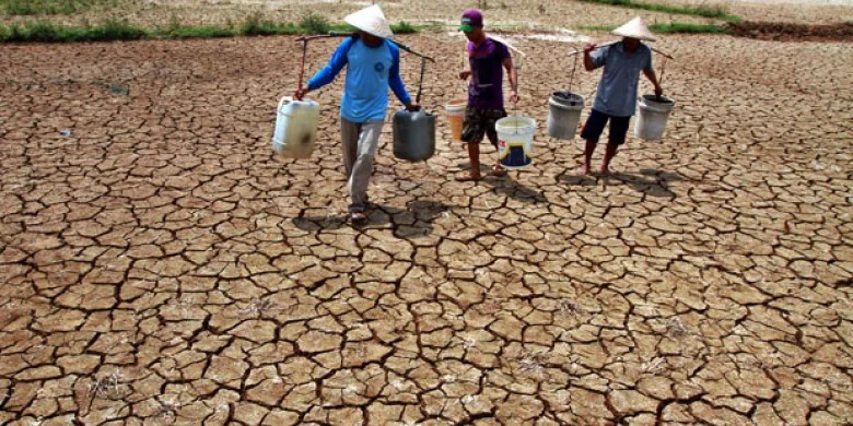 Kekeringan Melanda Indonesia: Upaya Mitigasi dan Dampaknya terhadap Masyarakat