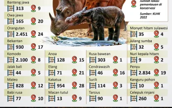 Kemenangan Besar dan Upaya Konservasi: Dari Jackpot Hingga Perlindungan Satwa Liar