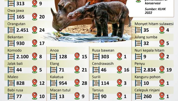 Kemenangan Besar dan Upaya Konservasi: Dari Jackpot Hingga Perlindungan Satwa Liar