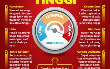 Kolesterol: Mengenal Faktor Risiko dan Cara Mengontrolnya