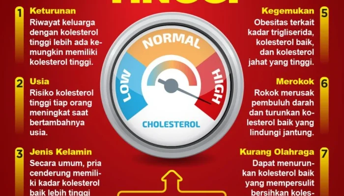 Kolesterol: Mengenal Faktor Risiko dan Cara Mengontrolnya