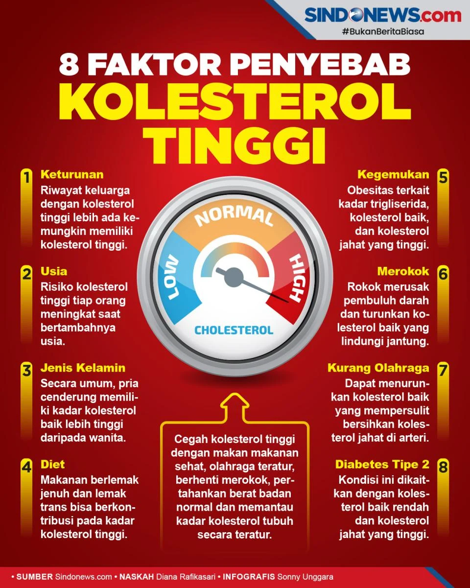 Kolesterol: Mengenal Faktor Risiko dan Cara Mengontrolnya