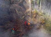Kolombia Menghadapi Krisis Kebakaran Hutan dan Gempa Bumi
