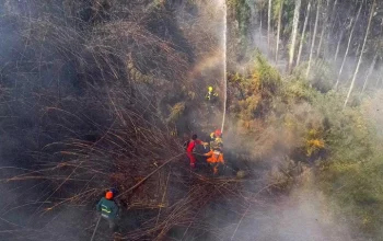 Kolombia Menghadapi Krisis Kebakaran Hutan dan Gempa Bumi