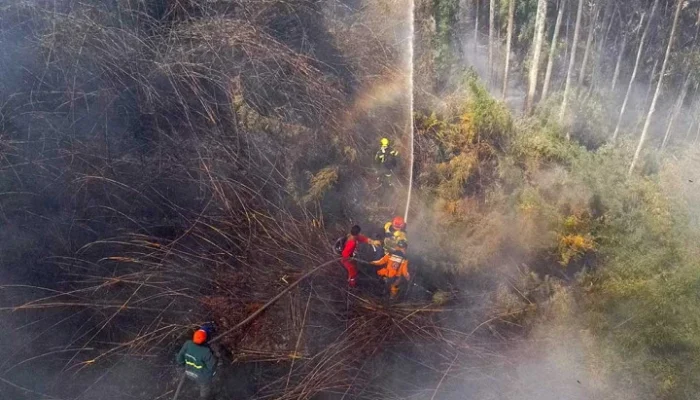 Kolombia Menghadapi Krisis Kebakaran Hutan dan Gempa Bumi