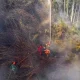 Kolombia Menghadapi Krisis Kebakaran Hutan dan Gempa Bumi
