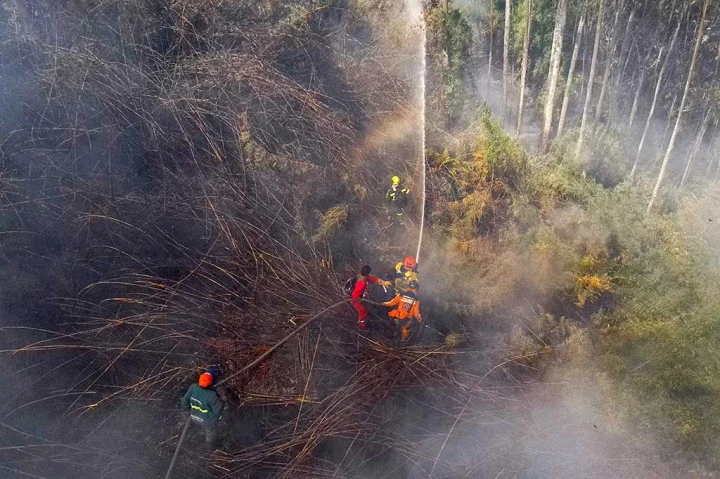Kolombia Menghadapi Krisis Kebakaran Hutan dan Gempa Bumi
