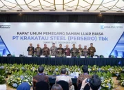 Krakatau Steel dan Kimia Farma Mulai Pulih Setelah Restrukturisasi