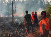 Melawi Menghadapi Tantangan: Kebakaran Hutan, Keamanan, dan Pembangunan