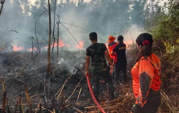 Melawi Menghadapi Tantangan: Kebakaran Hutan, Keamanan, dan Pembangunan